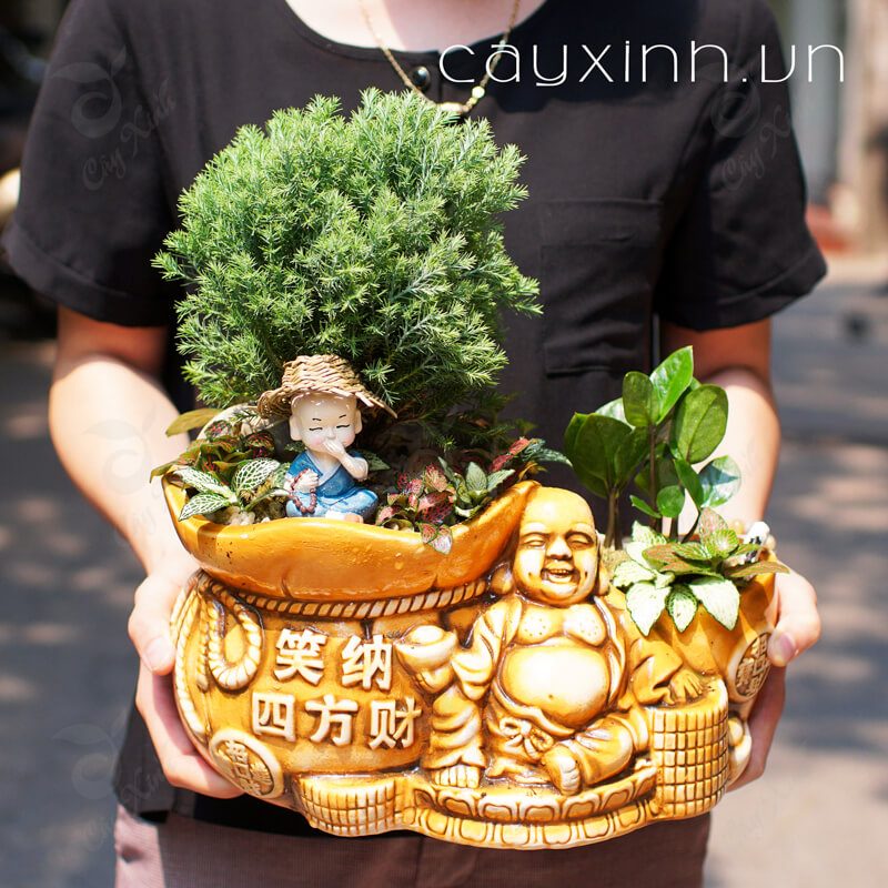cây hợp tuổi thân