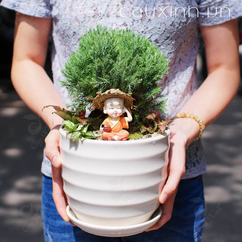 tuổi thân hợp cây gì