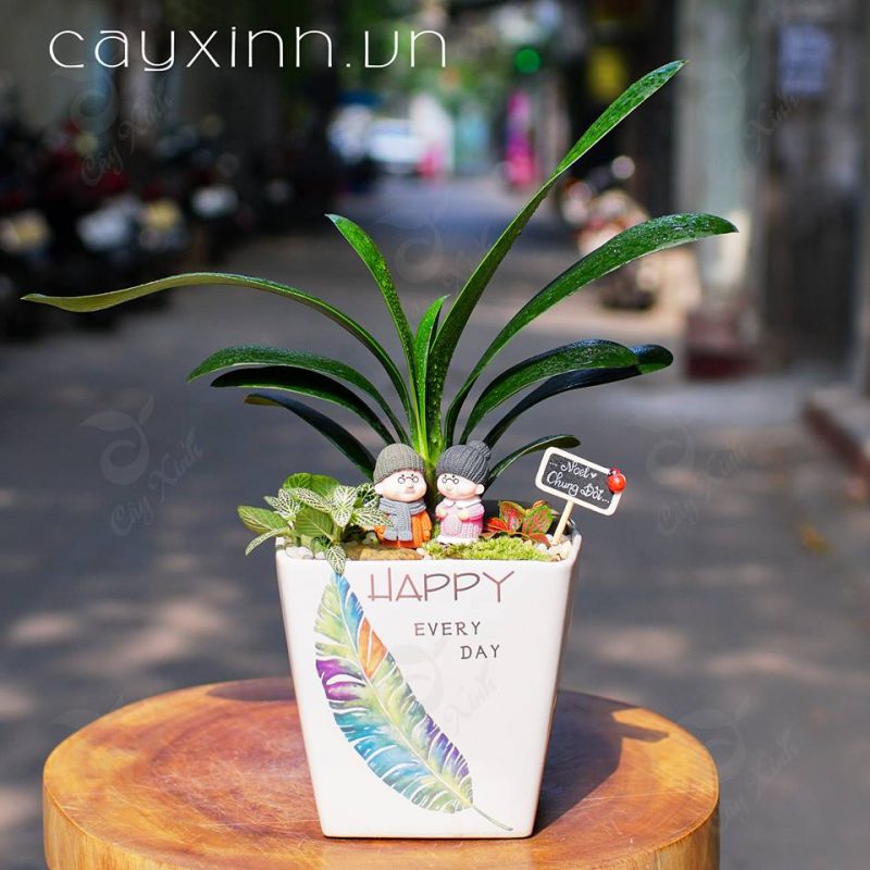 tiểu cảnh đặt bàn làm việc đẹp