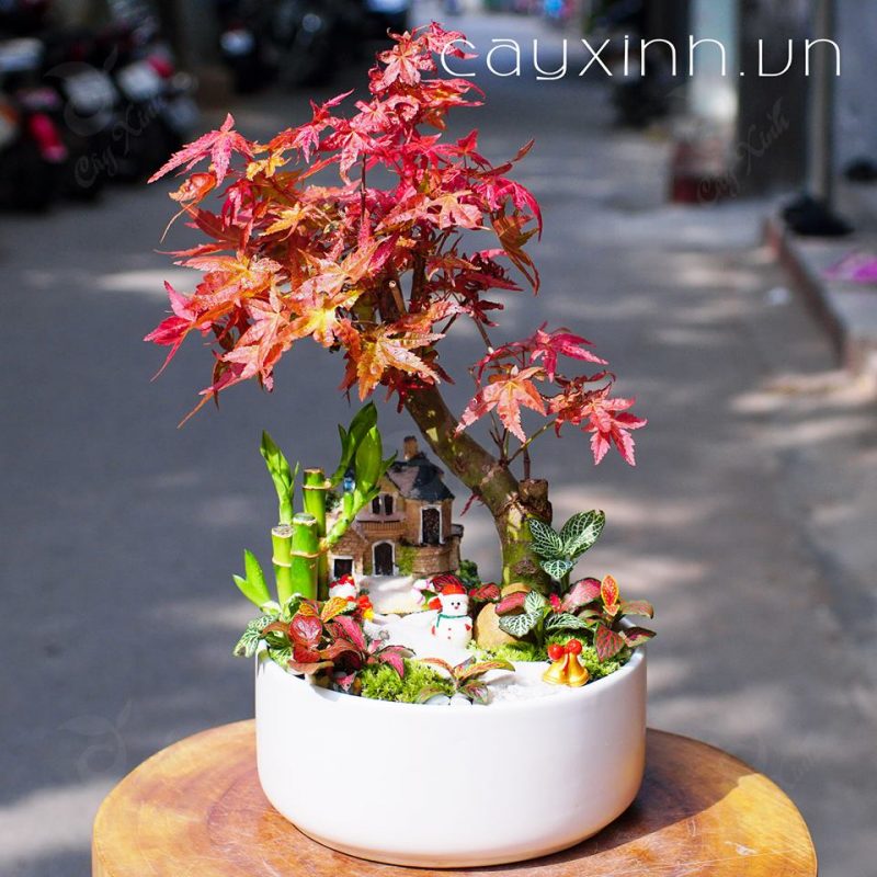 tiểu cảnh trang trí nội thất đẹp