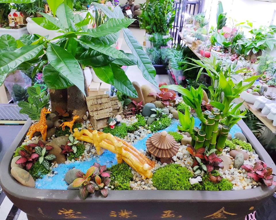 tiểu cảnh trang trí nội thất đẹp