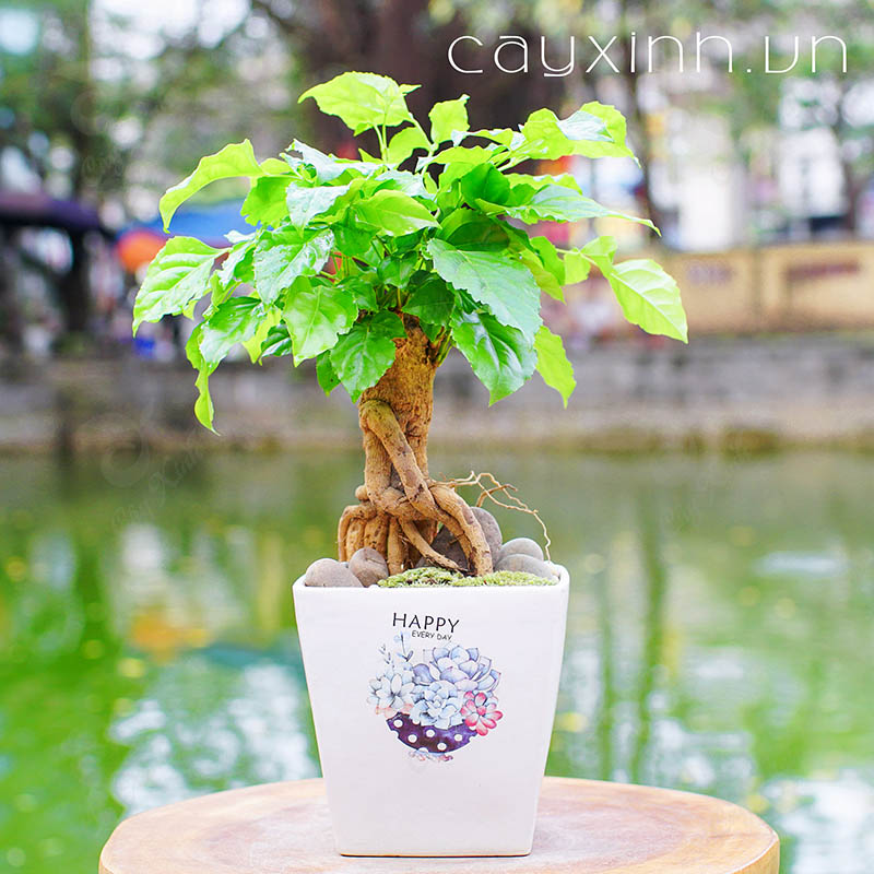 tặng quà ngày 8-3