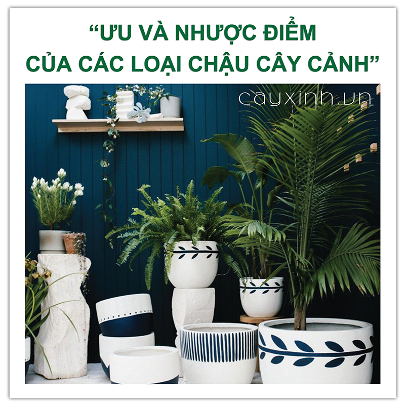 ưu nhước điểm của các loại chậu cây cảnh